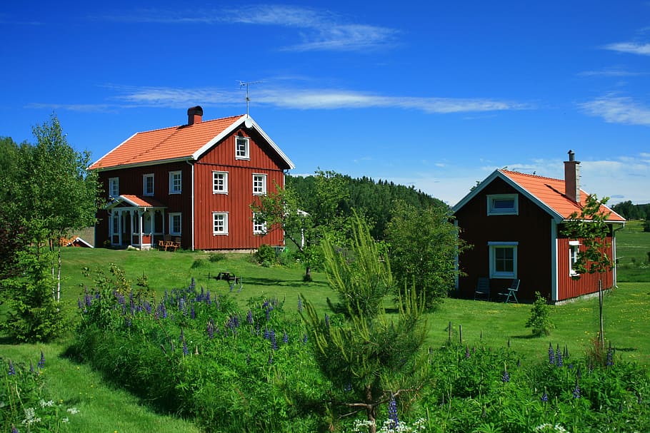 coklat, kayu, rumah, bidang kebun, siang hari, swedia, musim panas, arsitektur, pemandangan, struktur yang dibangun