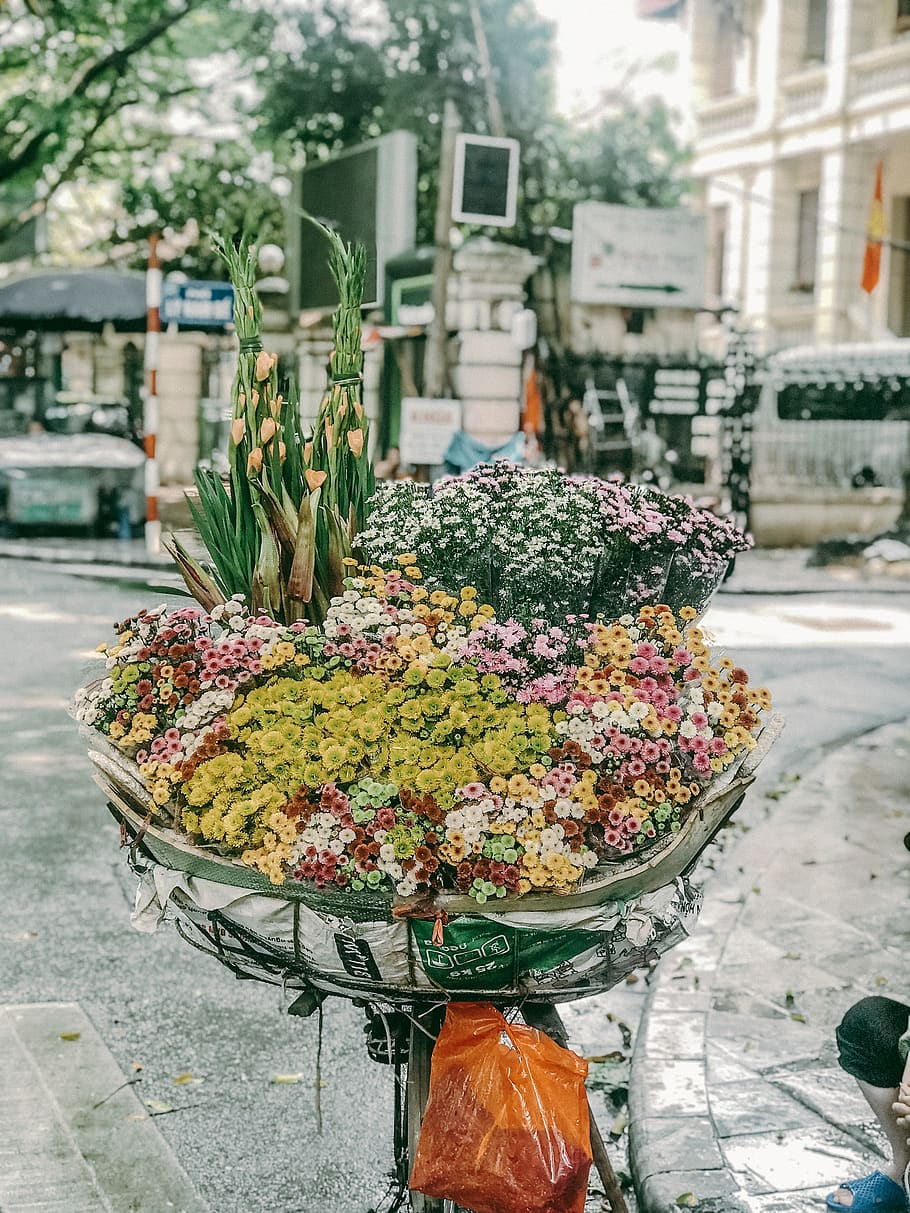 flowers bike, vietnam, ha noi, autumn, flower, selling flowers, fair, autumn in hanoi, nice, flowering plant