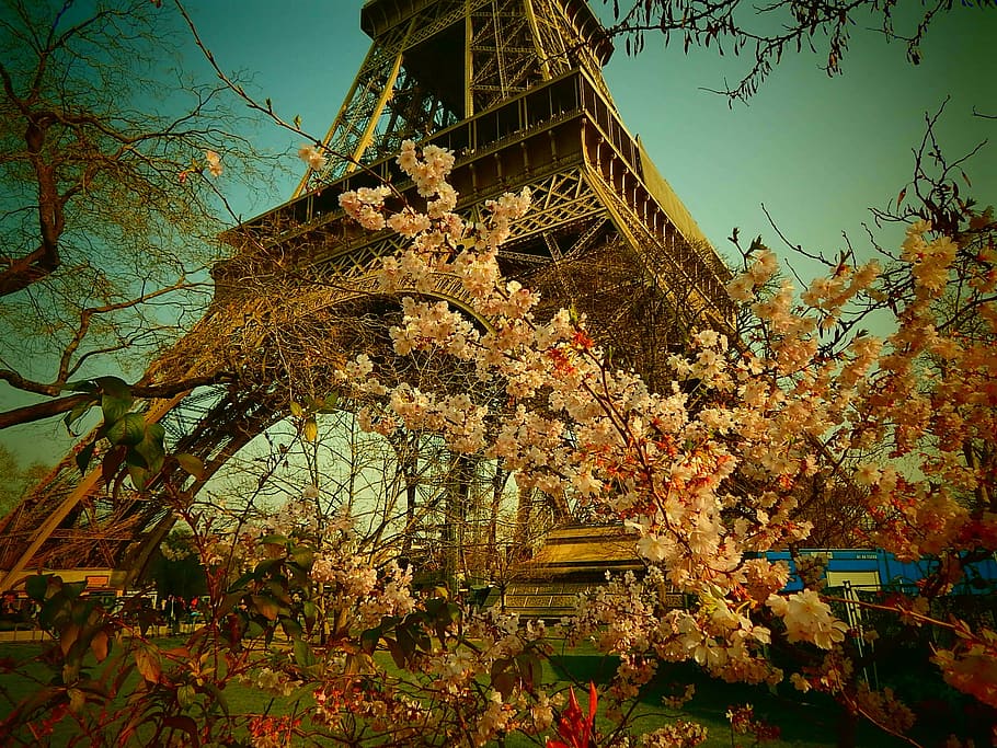 París, Francia, estructura de acero, acero, torre, arquitectura, feria mundial, Expo, Torre Eiffel, famoso lugar