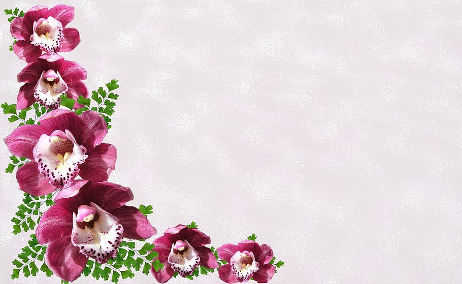 あずき色, 白, 女性のスリッパの花, グリーティングカード, 蘭の花, お祝い, 招待状, 花, 開花植物, 植物