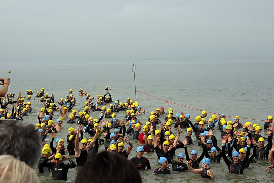 triathlon, sport, swim, water, swimmer, people, wetsuits, athletes, human, cold water