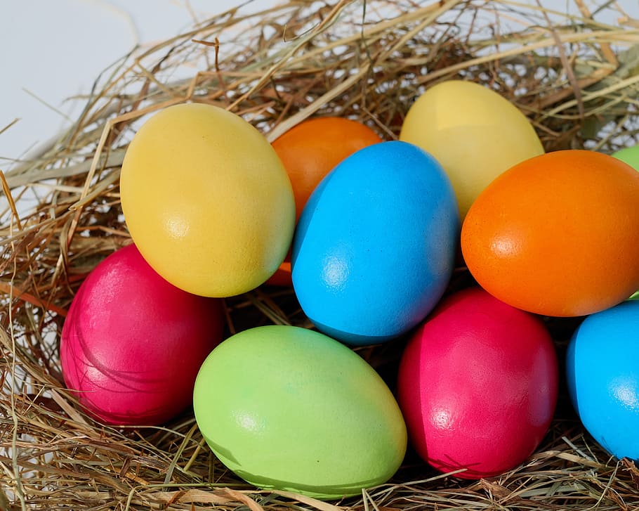 assorted-color ester eggs, easter, egg, easter eggs, colorful eggs, dyed easter eggs, colorful, chicken eggs, color, natural product