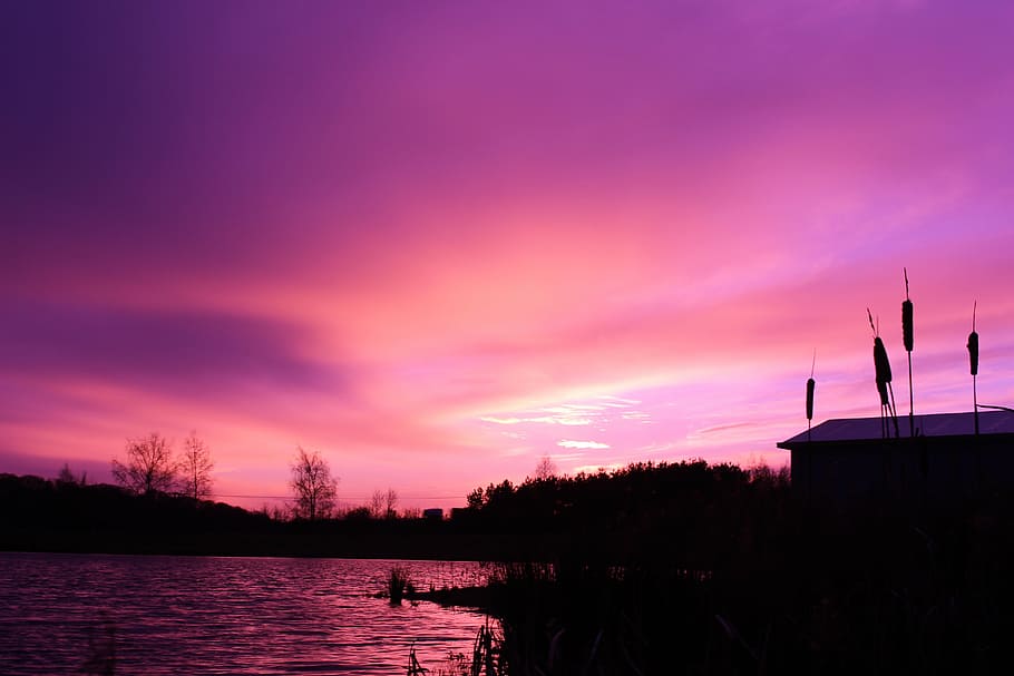 untitled, lake, grasses, sky, clouds, sunset, dark, purple, silhouette, house