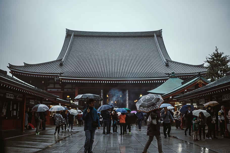 man, holding, blue, umbrella, walking, temple, asian, people, women, girls