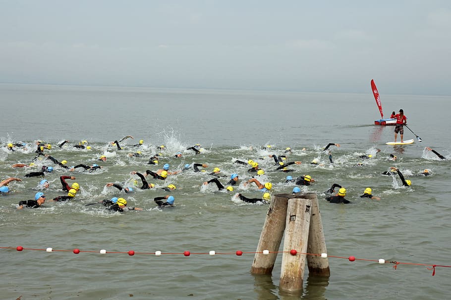 triathlon, sport, swim, water, swimmer, people, wetsuits, athletes, human, cold water