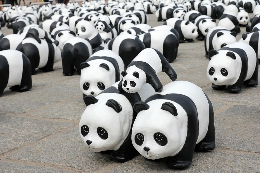 panda, beruang, mainan kawanan, Panda Bear, Kawanan, mainan, hitam dan putih, Cina, dekorasi, foto
