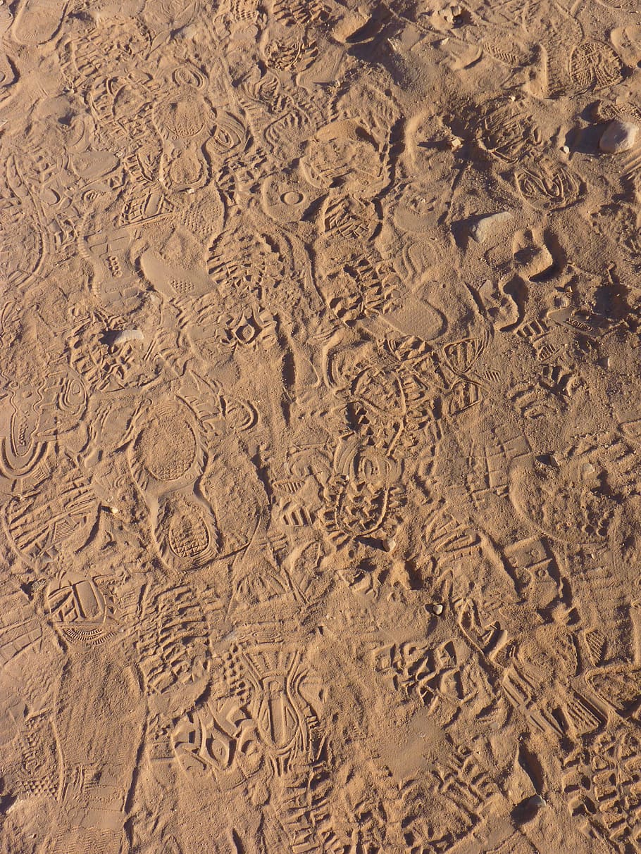 Rastreio, Areia, Reimpressão, rastreios, ocorre, faixa, pegada, deserto, quadro completo, planos de fundo