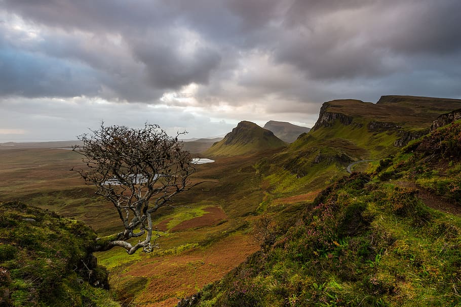 scotland, isle of skye, quiraing, nature, sky, bush, sunrise, clouds, landscape, tree