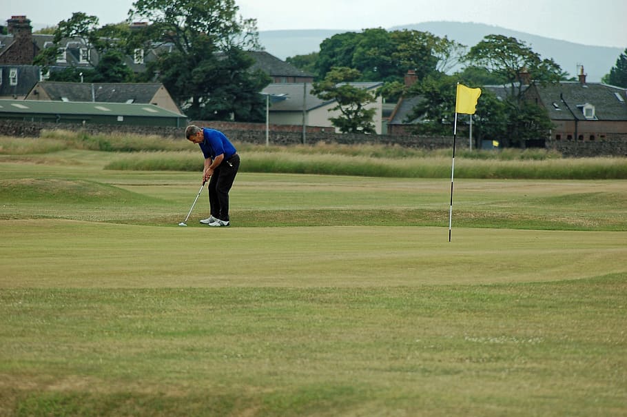 Putting, Green, Golf Green, golfer, putting, green, golf, sport, putting green, leisure, course