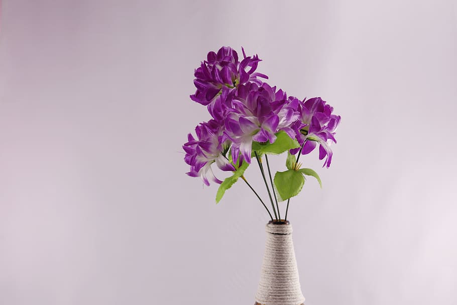 decoración del hogar, flores, flores de plástico, flores de color violeta, botella con flores, cabeza de botella, hilo en botella, hilo y flores, fondo blanco sólido con flores, Flor