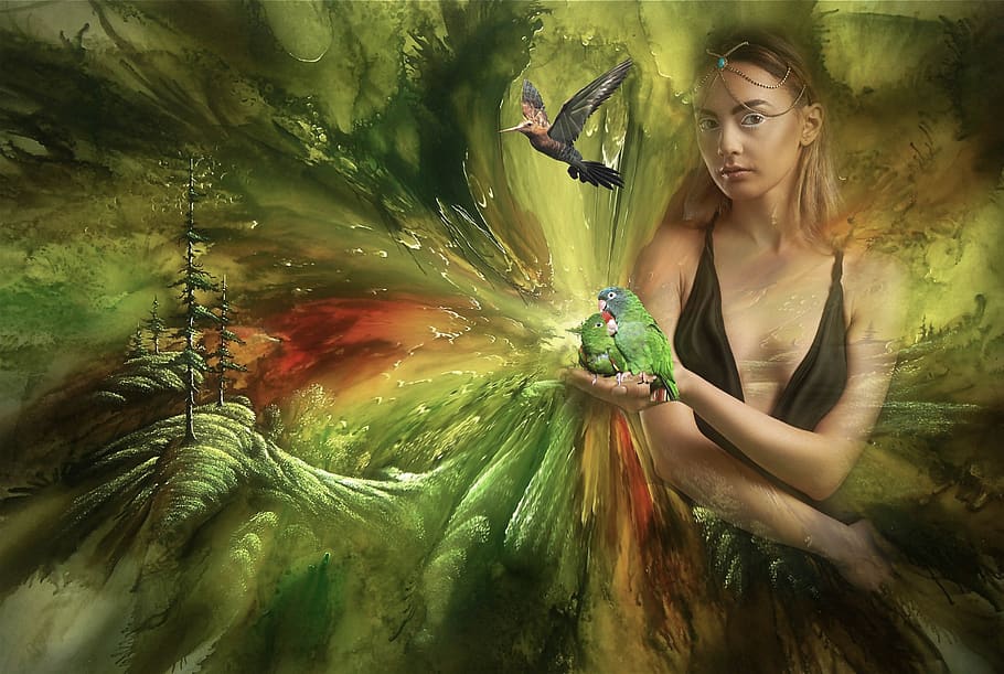 fantasy, nature, female, birds, earth, lighting, mysterious, fairy tales, landscape, photomontage