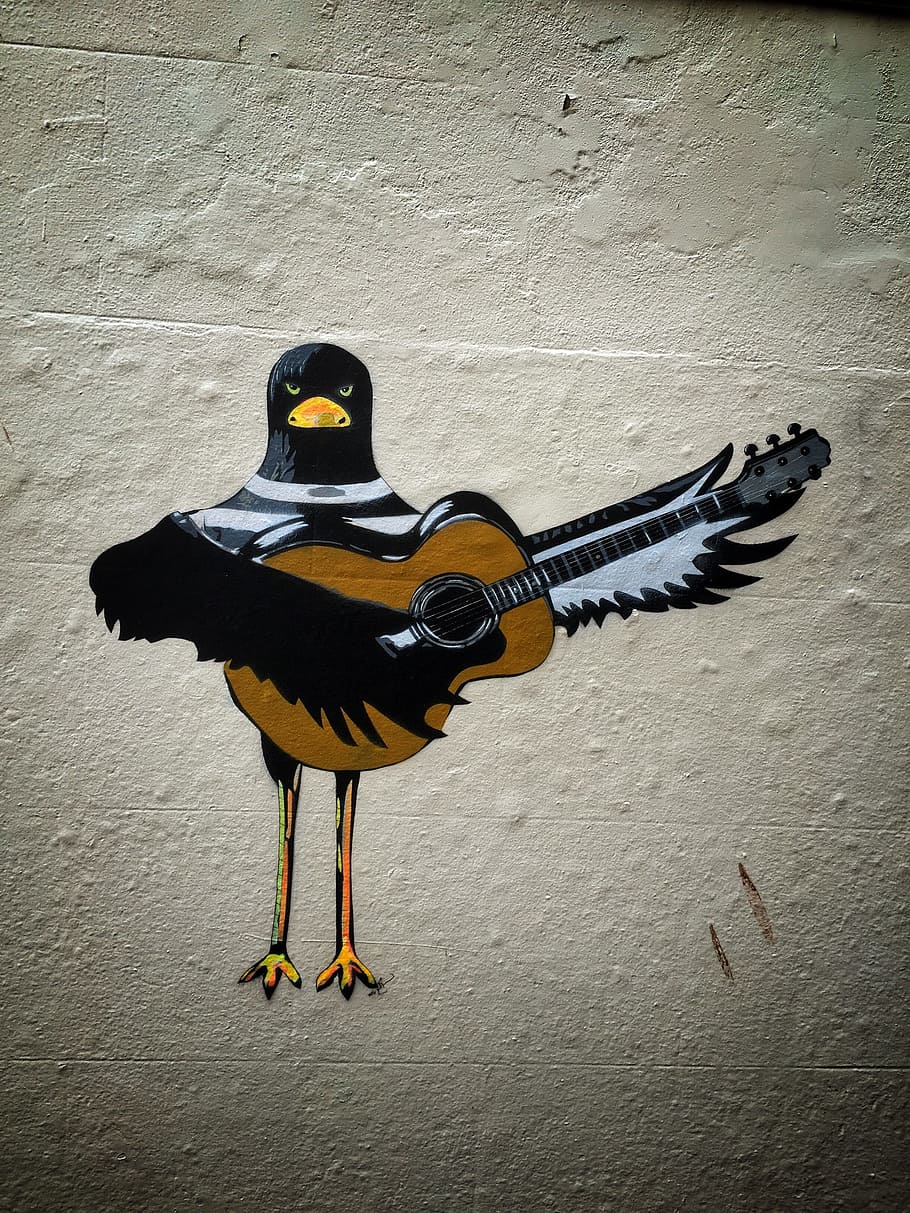 Graffiti, Wall, Street, wall, graffiti wall, street, artistic, wall art, crow, guitar, one animal