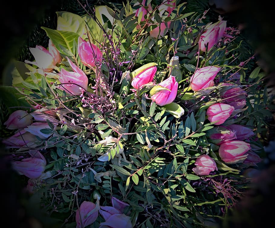 チューリップ, ピンク, 紫, 大きな花束, 素朴なバインド, 堅牢, 野生, farbenpracht, 美しい, 開花植物