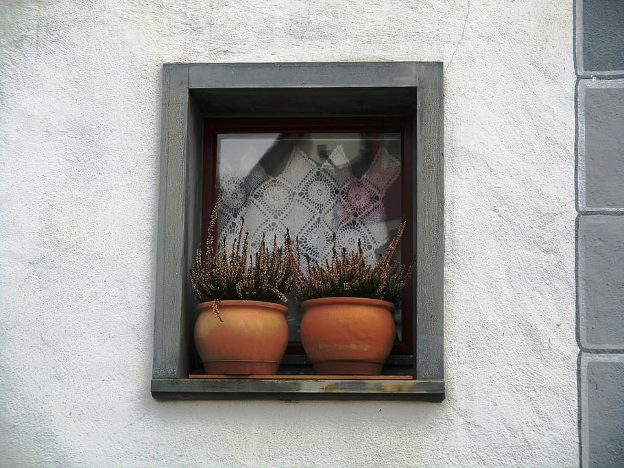 home, window, hauptwil, with plant sims, clay pots, frame, curtains, mirroring, idyllic, thurgau