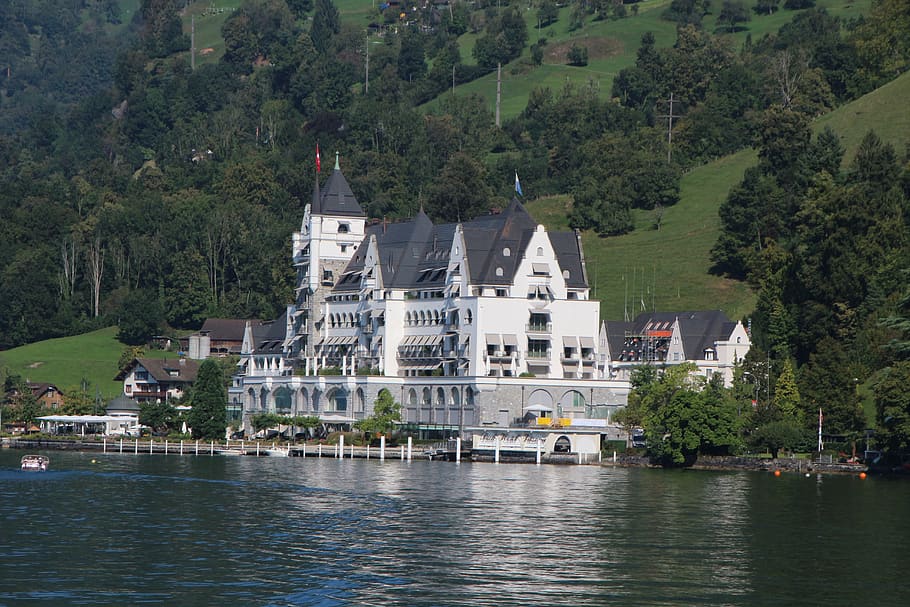 Suiza, alpino, montañas, lago de Lucerna, agua, árbol, arquitectura, exterior del edificio, frente al mar, planta