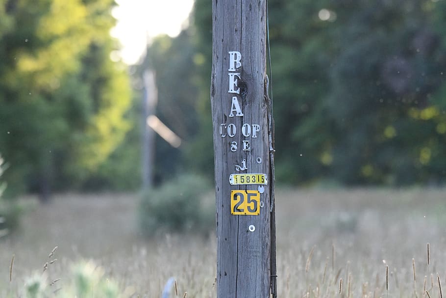 number, sign, telephone, pole, countryside, co op, 25, letters, communication, focus on foreground