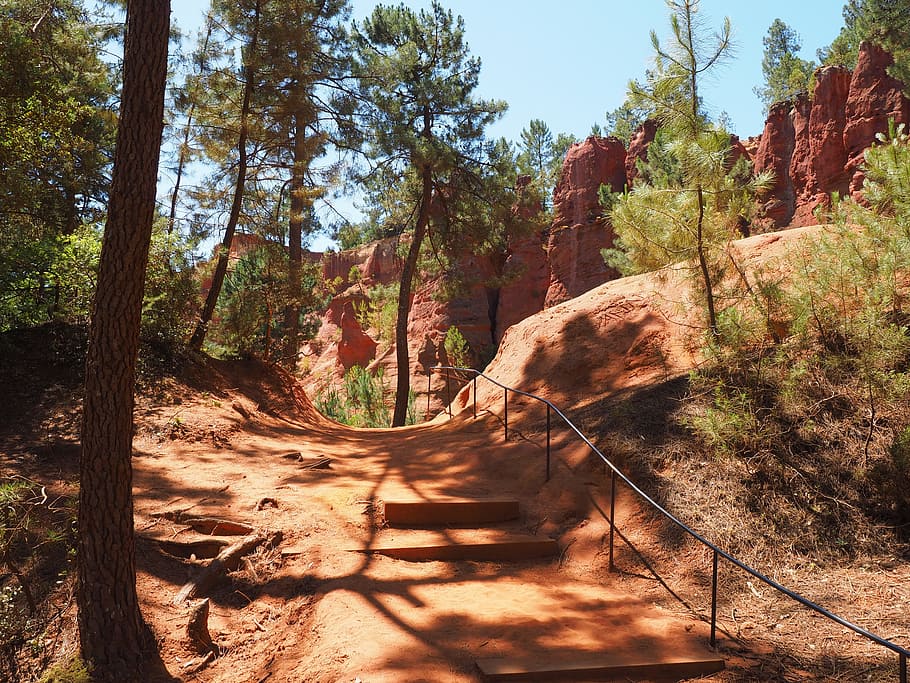 nature trail, ocher trail, away, sand, roussillon, pine forest, pine, forest, ocher rocks, ocher