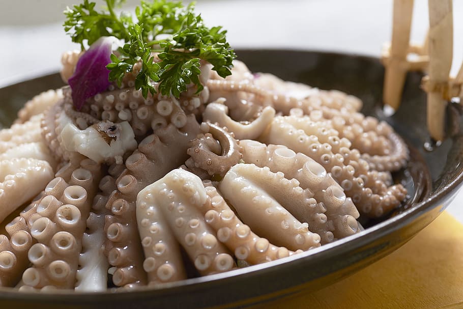 selective, focus photo, raw, octopus, serving, plate, seafood, squid to be, gourmet, photography