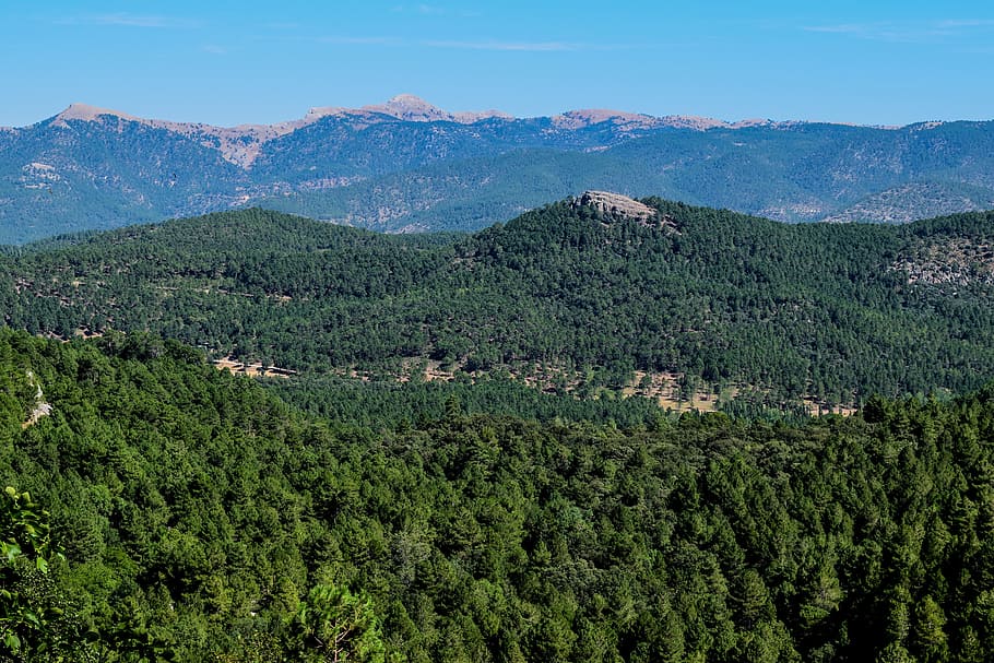 sierra, albacete, riopar, mountain, scenics - nature, tree, beauty in nature, plant, mountain range, landscape