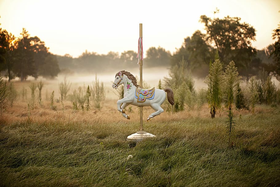 white, carousel, green, grass field, princess, horse, carousel horse, fair, carnival, glitter