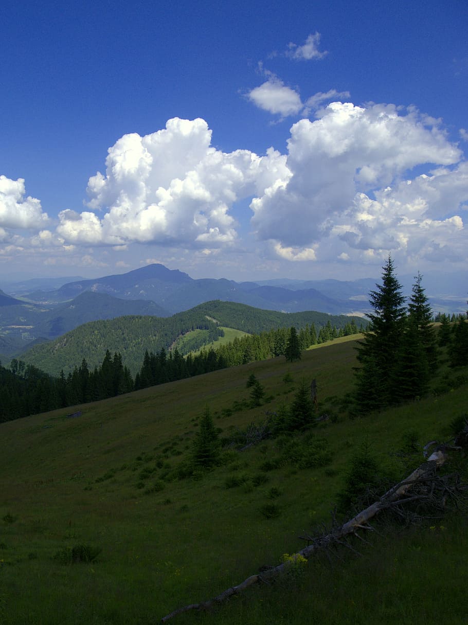 eslováquia, país, montanhas, velka fatra, as nuvens, verão, céu, nuvem - céu, montanha, ambiente