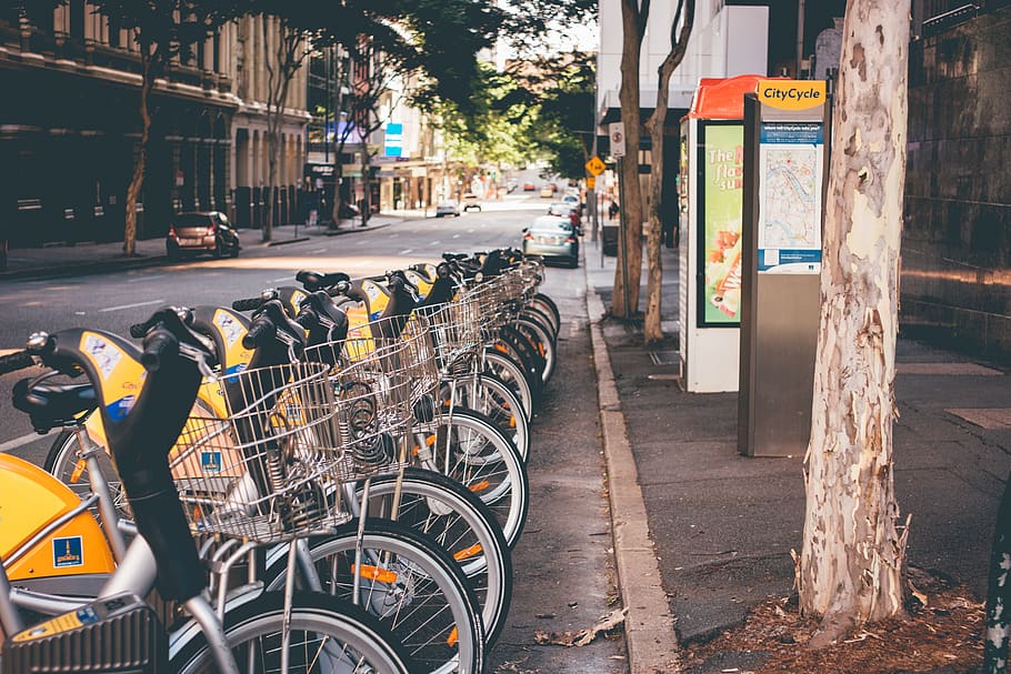 bicycle, bike, park, city, urban, street, building, trees, motorcycle, basket