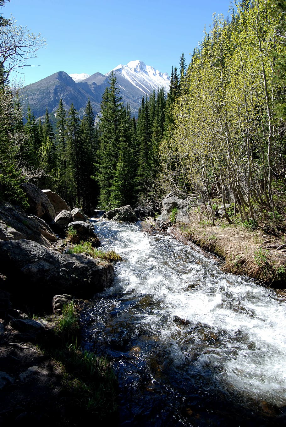 Glacier Creek, Dream Lake Trail, Parque Nacional Rocky Mountain, Planta, árbol, belleza en la naturaleza, pintorescos: naturaleza, naturaleza, agua, montaña