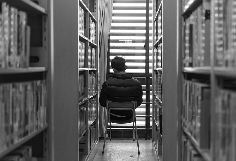documentary, black and white, nikon, library, people, read, the study, rear view, one person, shelf
