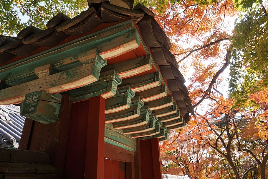 茶色, 赤, 緑, 木造, 家, ブルグクサ寺院, レース, 韓国, 宗教, 観光