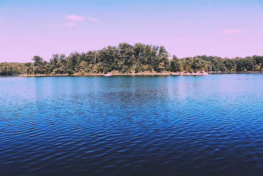 forest, body, water, blue, sky, lake, nature, outdoors, landscape, trees