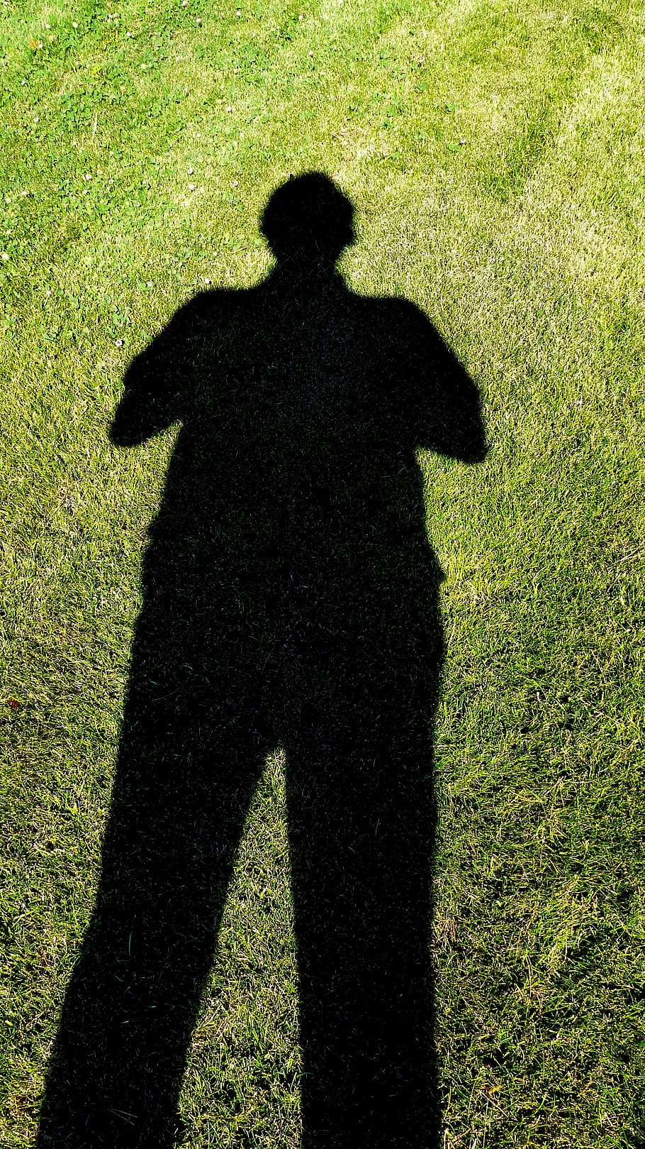 silhouette, grass, Shadows, People, Man, Standing, Dark, tall, green, background