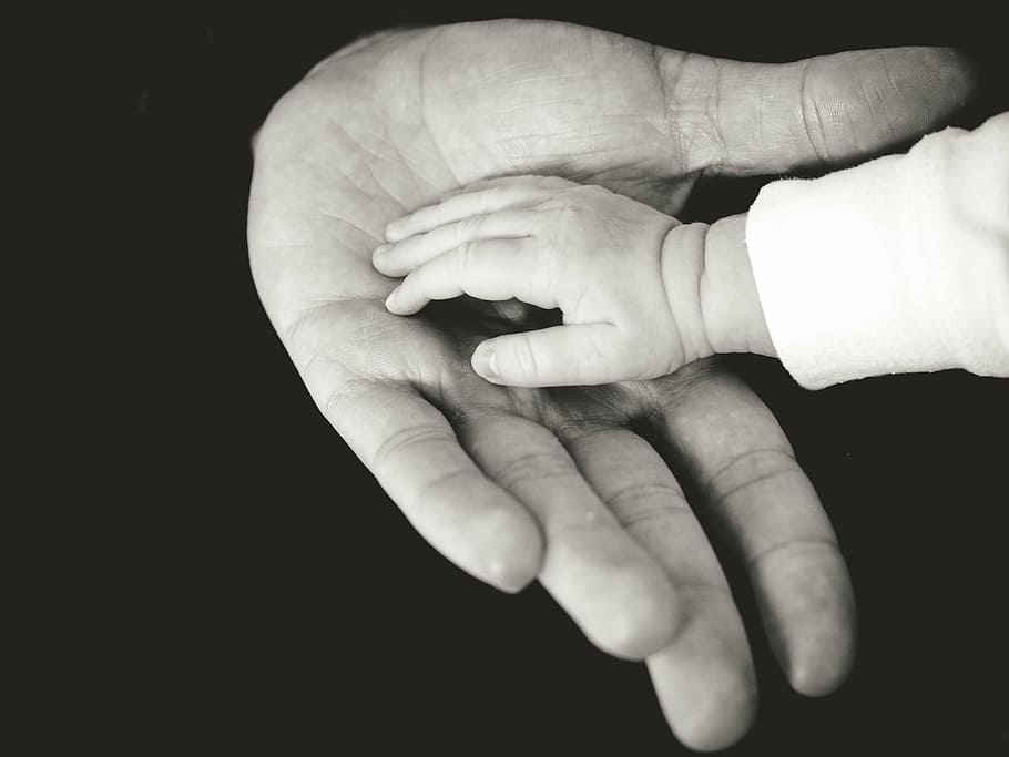 mão direita do bebê, pai, esquerda, palma da mão, cinza, balança, fotografia, humano, mãos, bebê