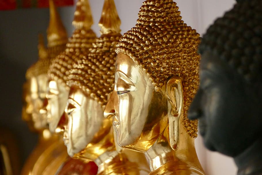 primer plano, fotografía, figuras de Buda de color dorado, dorado, Buda, ornamento, estatua, escultura, religión, Wat Pho