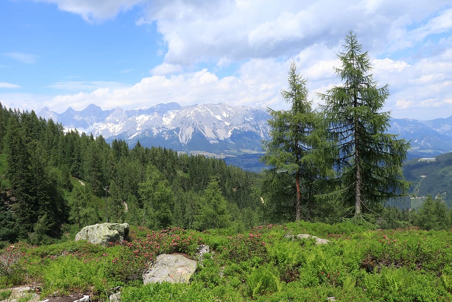 mountains, mountain landscape, mountain view, panorama, view, landscape, alpine, austria, pichl, schladming