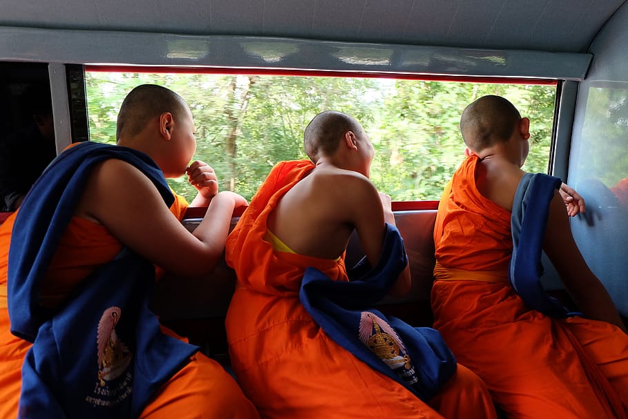 thailand, chiang mai, color, monk, curious, group of people, men, real people, togetherness, people