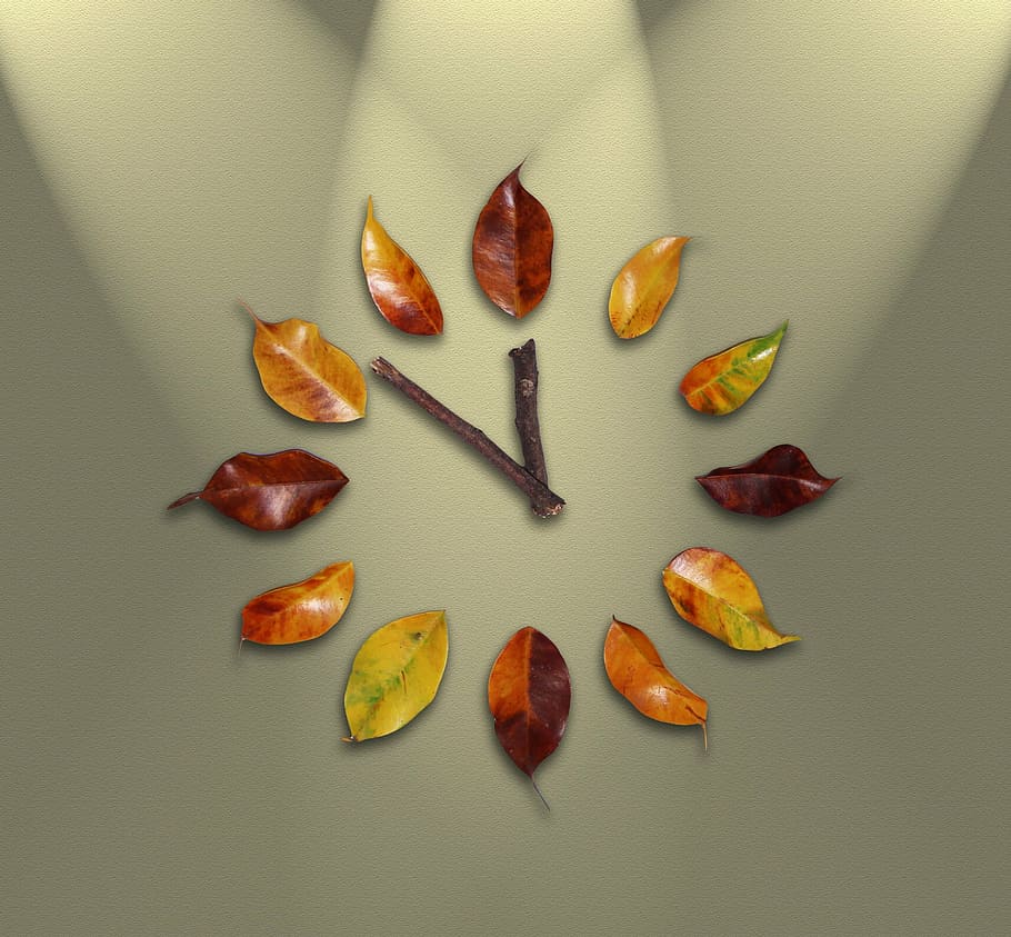 brown, green, leaf wall clock, 12:52, watch, time, leaves, pointers, time passing, minutes