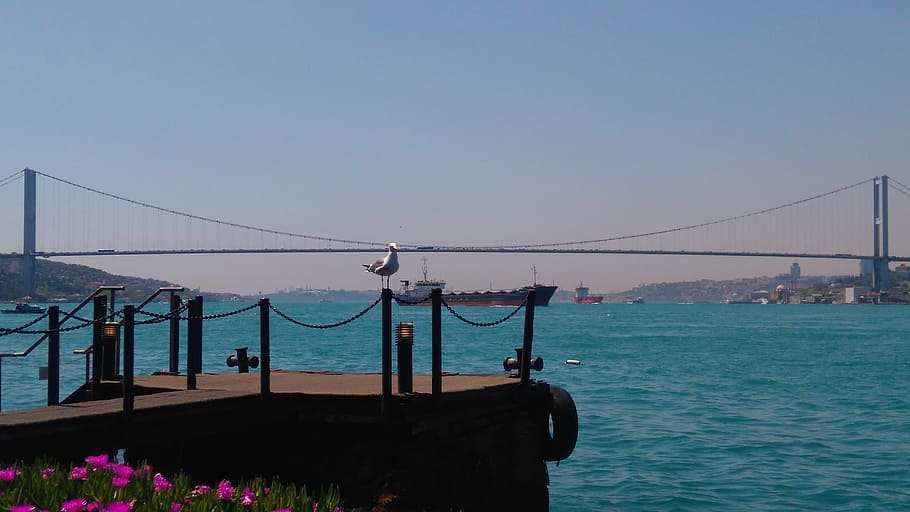 bosphorus, istanbul, turkey, water, sky, sea, nature, clear sky, architecture, built structure