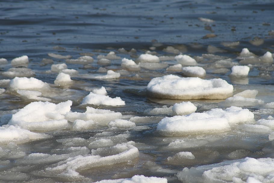 es, es mengapung, laut, musim dingin, salju, putih, dingin, warna putih, hari, air