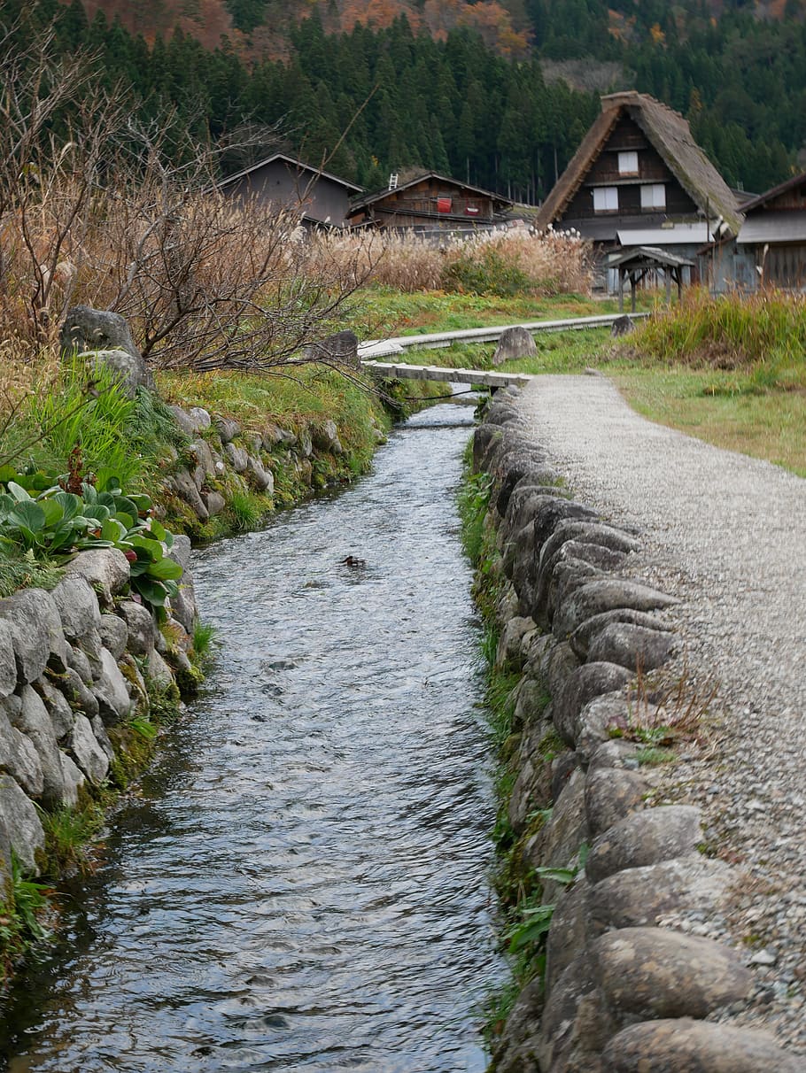 japão, rio, natural, água, arquitetura, estrutura construída, agua, ninguém, planta, natureza
