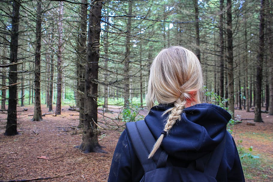 niña, vistiendo, azul, sudadera con capucha, en pie, árboles, medio, bosque, mujer, excursionista