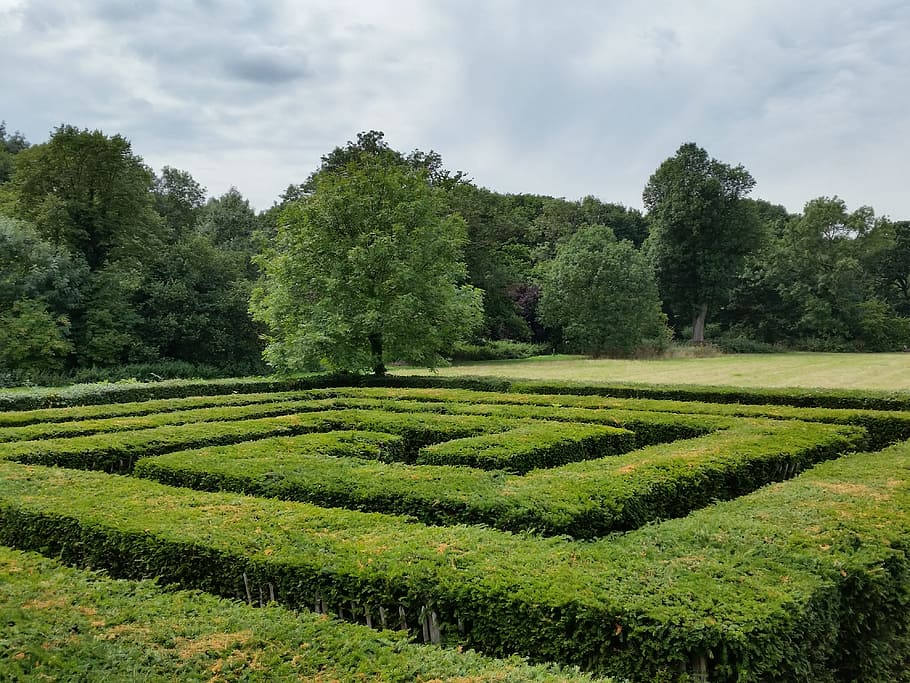 maze garden, view, trees, maze, intricacy, green, labyrinth, geometric, pattern, topiary