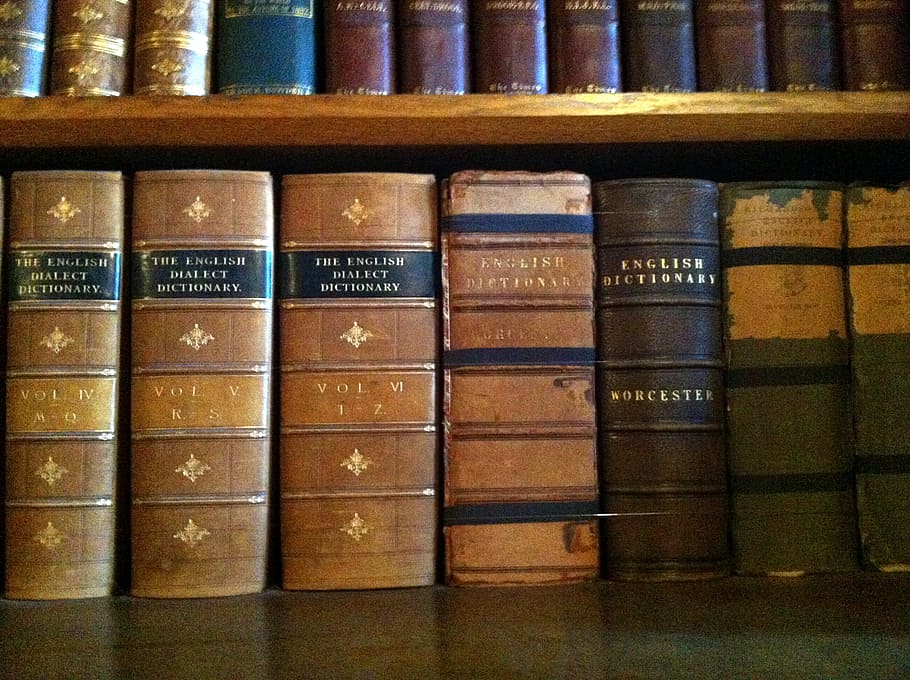 buku, vintage, perpustakaan, kamus, publikasi, rak, di dalam ruangan, berturut-turut, rak buku, teks