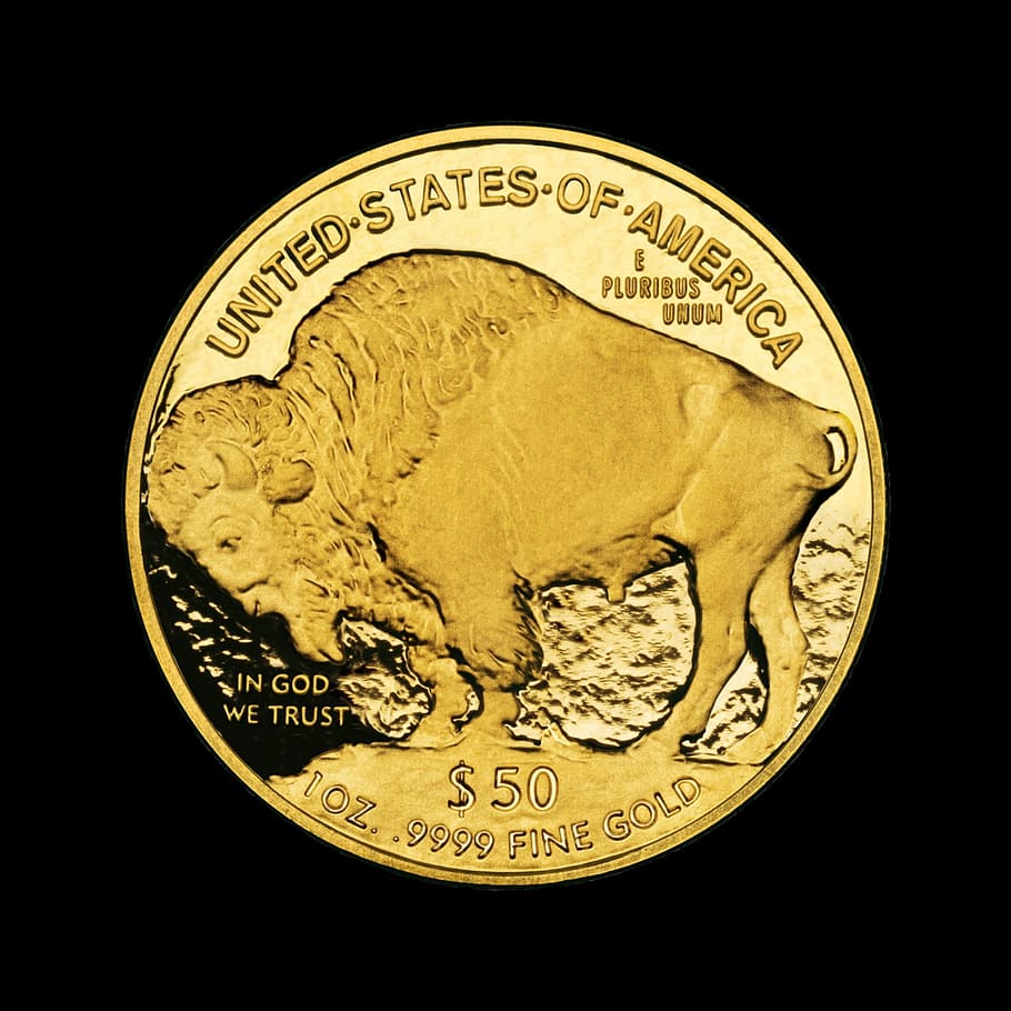 nickel, 24 karat, coin, gold, bull, wertvolll, jewel, jewellery, shine, value