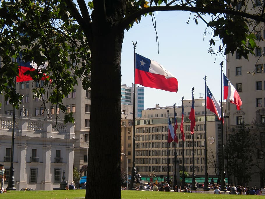 Chili, negara, bendera, arsitektur, eksterior bangunan, pohon, struktur yang dibangun, kota, patriotisme, tanaman