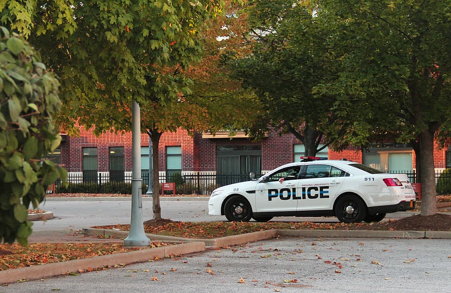 police, police car, fall, campus police, fall on campus, transportation, tree, mode of transportation, car, plant