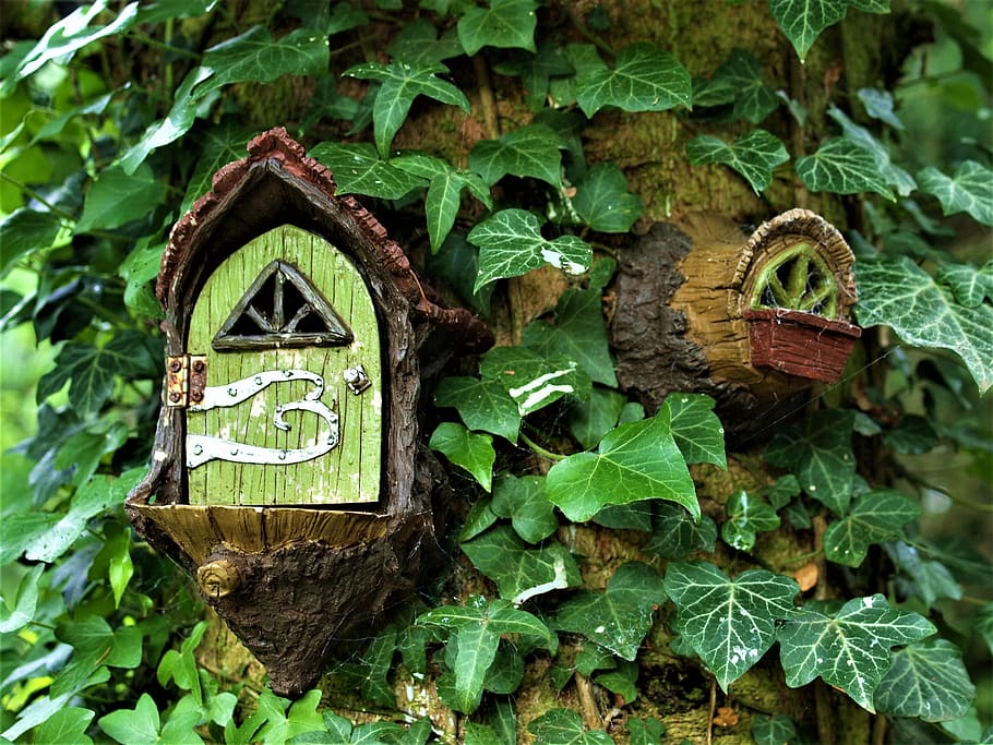 puerta, jardín de hadas, miniatura, fantasía, hoja, parte de la planta, color verde, crecimiento, planta, día