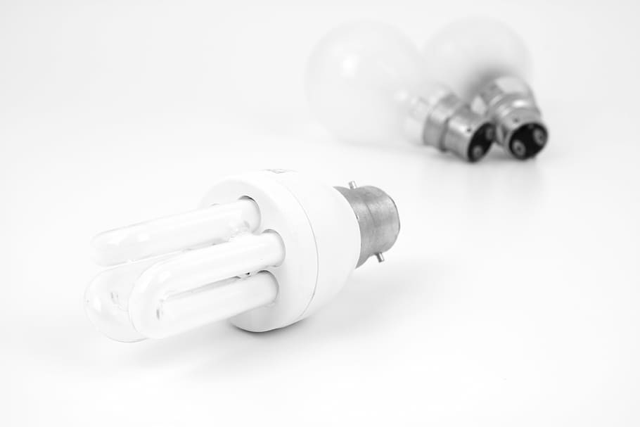 seletiva, fotografia de foco, branco, lâmpada de cfl, bulbo, eficiente, elétrica, eletricidade, energia, fluorescente