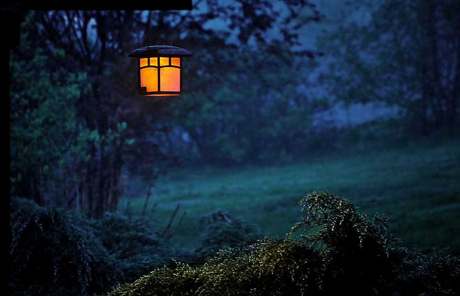 black, lantern post, surrounded, green, leaf trees, twilight, replacement lamp, lantern, evening, light