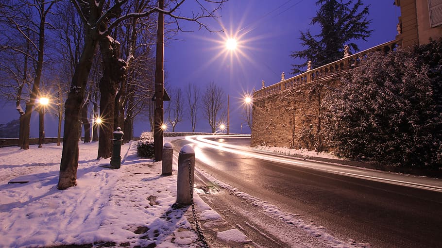 winter, night, lights, snow, cold temperature, tree, illuminated, street light, street, road