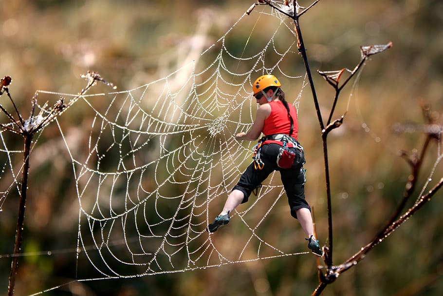 wanita, merah, tank, top, memanjat, sarang laba-laba, tidak aman, pendaki gunung, rappel ke, fokus pada latar depan